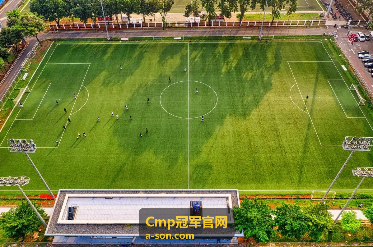 Cmp冠军服务案例配图