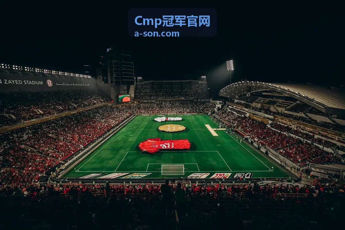 Cmp冠军执行运营案例